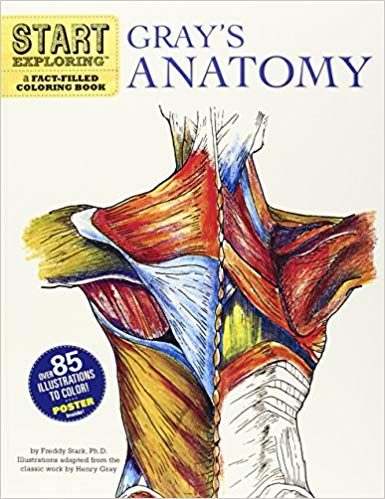 Start Exploring: Gray’s Anatomy - Best Anatomy Coloring Book for College